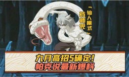 最新的s忍爆料,神秘技能曝光，忍者世界再掀风云